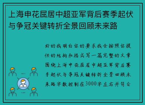 上海申花屈居中超亚军背后赛季起伏与争冠关键转折全景回顾未来路